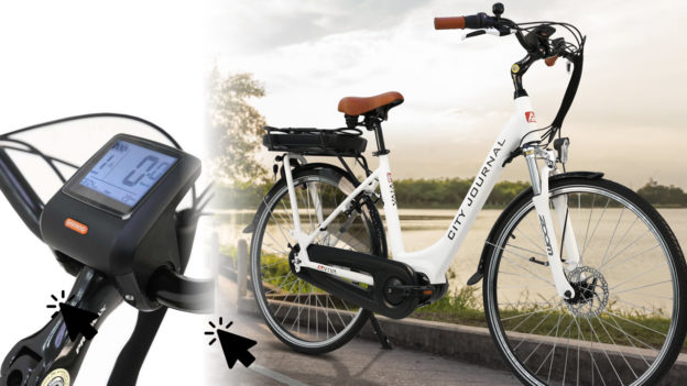 AsVIVA Tiefeinsteiger Hollandrad E-Bike