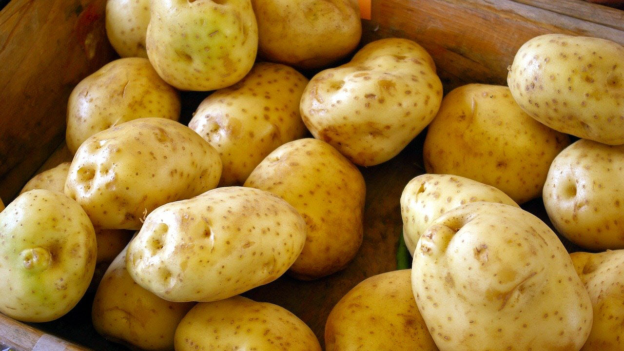 Kartoffeln - Kohlenhydrat Quelle der Inka