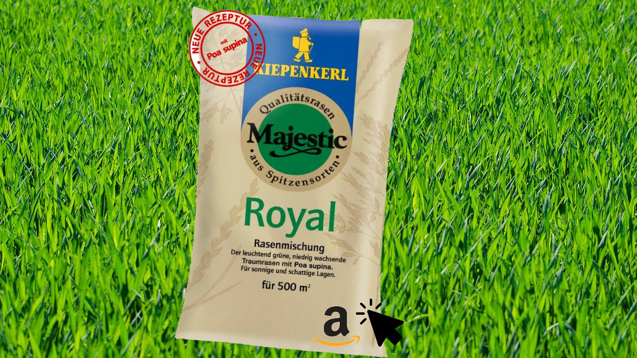 Kiepenkerl Majestic Royal Rasen