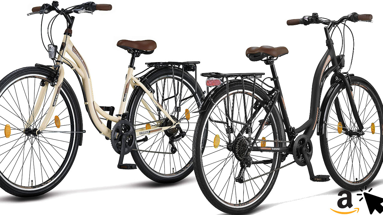 Citybike Herren 28 Zoll Test / Gregster Fahrrad Test